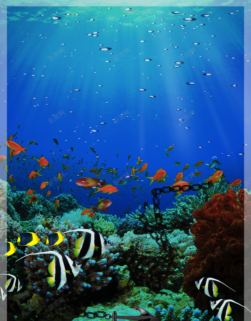 海底世界海报背景psd设计背景_新图网 https://ixintu.com 海底世界背景 展板背景 海底世界 海报背景 海洋 鱼儿 展 海