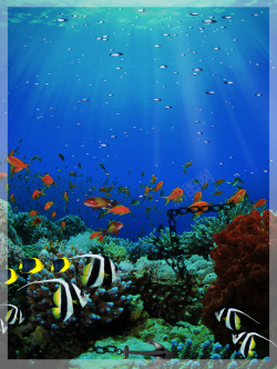 海底展板海底世界海报背景高清图片
