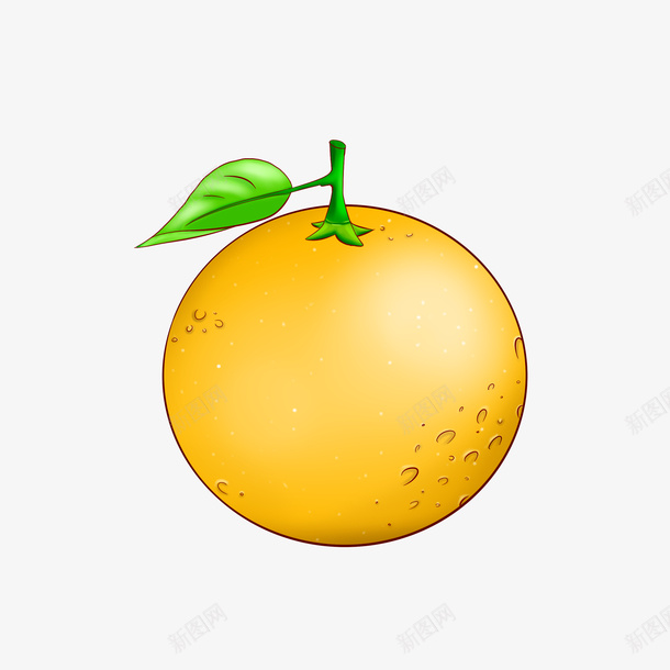 蔬果元素橙子png免抠素材_新图网 https://ixintu.com 免扣 橙 橙子 蔬果