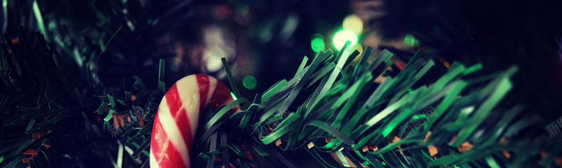 圣诞柺棍糖松树背景背景
