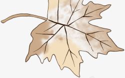 棕色手绘干枯树叶装饰素材
