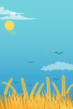 小麦种植简约小麦风景海报设计高清图片