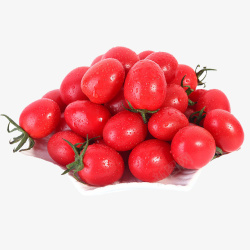 西红柿小西红柿甜西红柿柿子素材