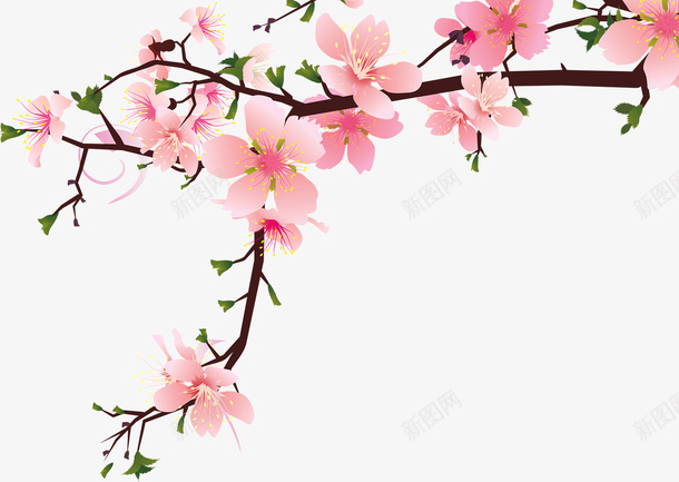粉色花朵png免抠素材_新图网 https://ixintu.com 漂亮 粉色 花朵