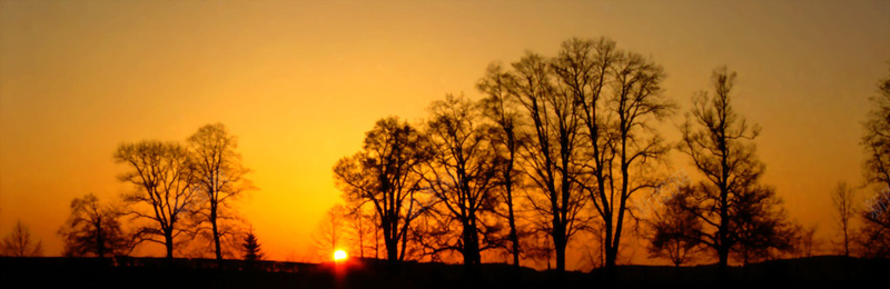 夕阳海报图jpg设计背景_新图网 https://ixintu.com 夕阳树 海报banner 摄影 风景