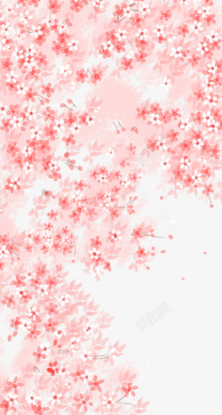 樱花树林唯美樱花树林高清图片