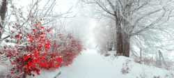 雪景道路风景雪景红叶背景高清图片