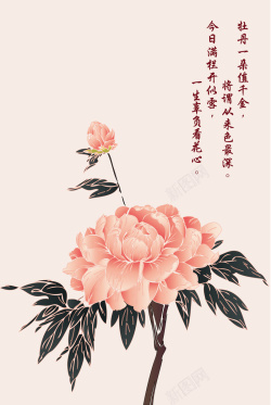 楷书素材中国风粉色牡丹海报背景素材高清图片