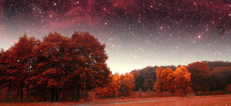 摄影天空红色树背景背景