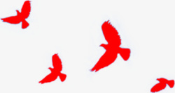 仙鹤飞天空红色文化鸟飞高清图片