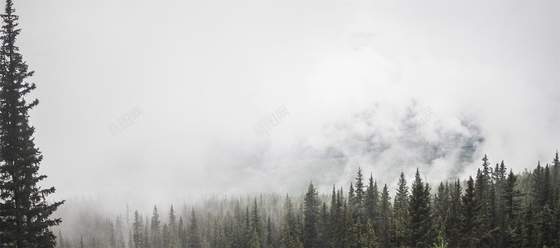 黑白简约自然风光背景背景