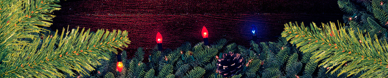 圣诞节海报背景图psd设计背景_新图网 https://ixintu.com 圣诞节 圣诞树 暗红色 绿色 黑色 松树 激情 狂欢