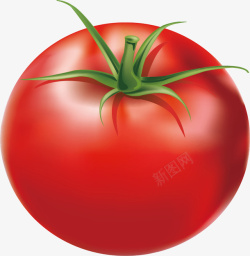 水果西红柿矢量图素材