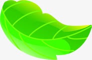 手绘绿色夏季漂浮树叶png免抠素材_新图网 https://ixintu.com 夏季 树叶 漂浮 绿色