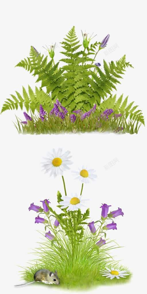 绿色树叶紫色花朵装饰png免抠素材_新图网 https://ixintu.com 树叶 紫色 绿色 花朵 装饰