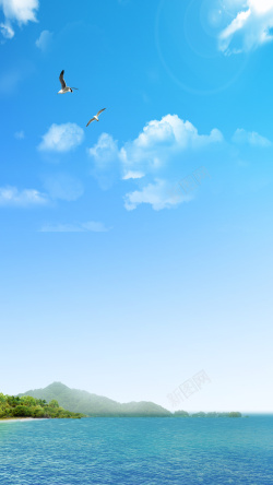 蓝色大雁蓝色天空大海H5背景高清图片