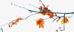 枯黄叶子秋季枯黄的树枝高清图片