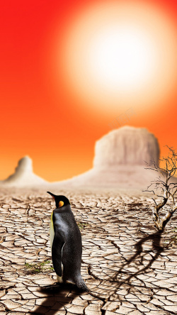 干旱地面干旱大地上的企鹅H5背景高清图片