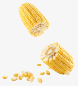 玉米粮食玉米食物农作物粮食高清图片