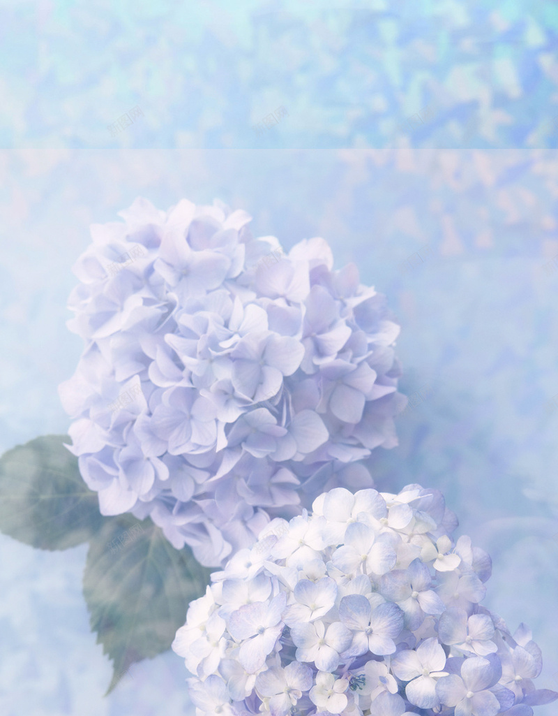 紫色花朵浪漫梦幻背景素材jpg设计背景_新图网 https://ixintu.com 紫色 花朵 浪漫 梦幻 背景 素材 H5 摄影 唯美