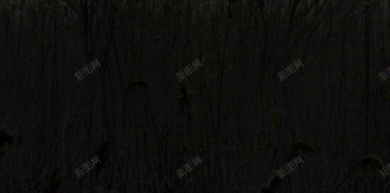 唯美的树林H5素材背景jpg设计背景_新图网 https://ixintu.com 唯美 树林 夕阳 黄昏 摄影 H5素材 风景