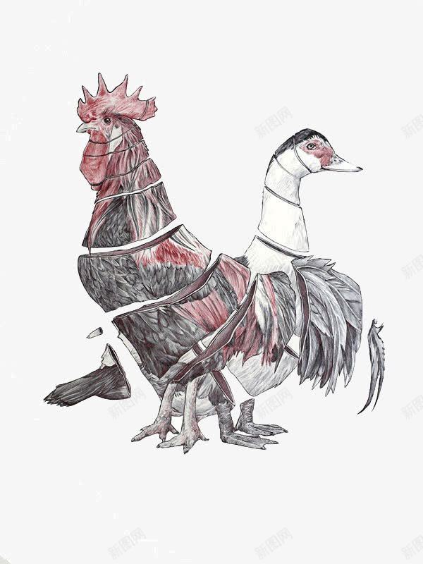公鸡和鸭子创意插画png免抠素材_新图网 https://ixintu.com 公鸡 创意 动物 插画 艺术 视觉 设计 鸭子