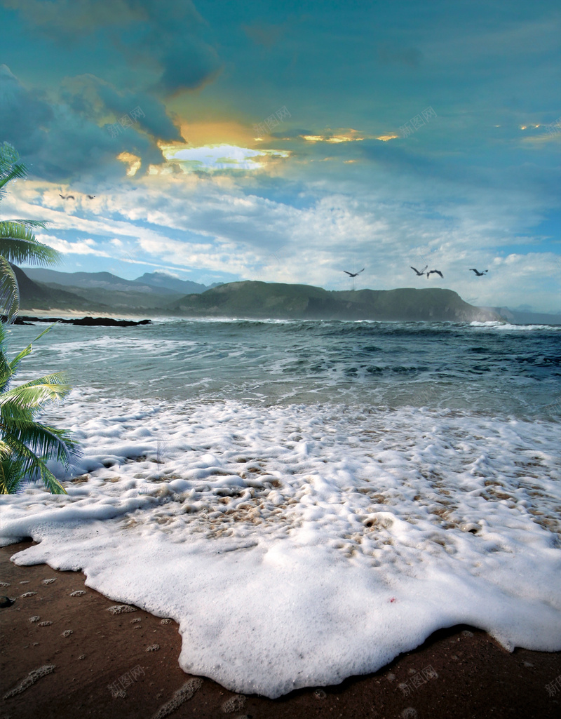 海滩海报背景psd设计背景_新图网 https://ixintu.com 云层 大气 椰子树 海浪 海滩