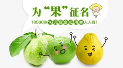 番石榴包装素材
