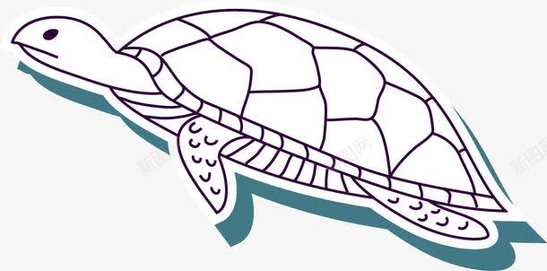 线条动物海龟卡纸png免抠素材_新图网 https://ixintu.com 动物 卡纸 海龟 线条