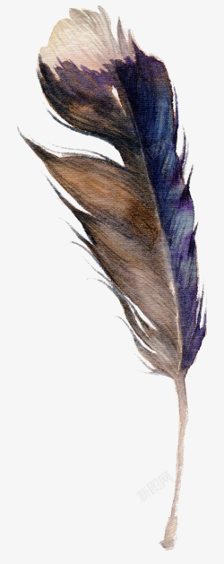 花卉羽毛花纹手绘水彩花环花卉叶子羽毛1高清图片