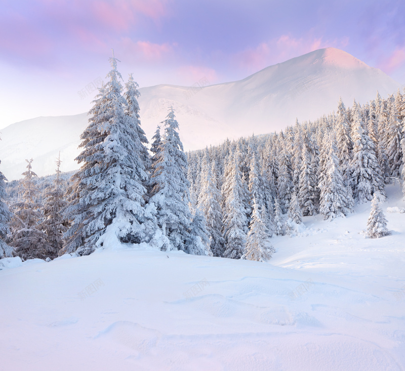 雪景jpg设计背景_新图网 https://ixintu.com 白色 冬天 高山 景区 松树 天空 摄影 风景