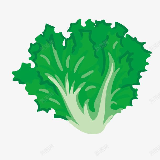 绿色菜叶png免抠素材_新图网 https://ixintu.com 素材 绿色 菜叶 蔬菜
