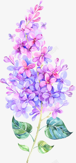 紫色碎花布紫色花碎花花束高清图片