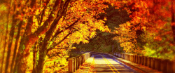 鞋包服饰背景秋季公路透视风景背景高清图片