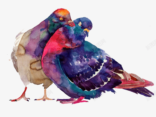 两只彩色手绘鸟png免抠素材_新图网 https://ixintu.com 卡通 彩色 手绘 鸟