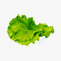 绿色生鲜蔬菜绿色生菜高清图片