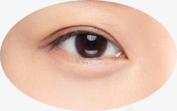 女性双眼皮素材素材
