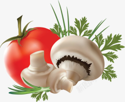 新鲜番茄蘑菇素材