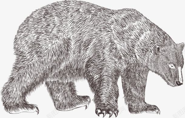 手绘北极熊png免抠素材_新图网 https://ixintu.com 动物 北极熊 手绘 插画
