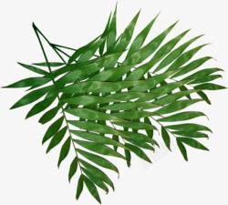 卡通小清新植物绿色竹叶素材