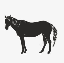 马匹单色图案素材