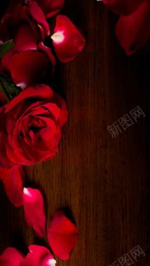 红玫瑰木板木纹H5背景背景