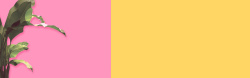 粉色衬衫唯美风格海报banner背景高清图片