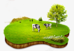 奶牛饲养牧场素材