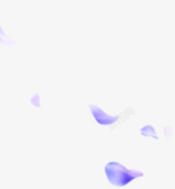 紫色花瓣装饰图案素材