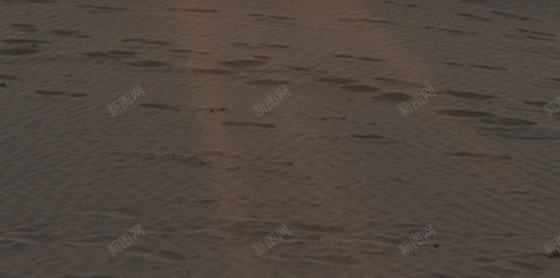 阳光下的沙漠H5背景jpg设计背景_新图网 https://ixintu.com 人物 开心 梦幻 沙漠 浪漫 金色 阳光 骆驼