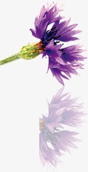 紫色唯美春天花朵手绘png免抠素材_新图网 https://ixintu.com 春天 紫色 花朵