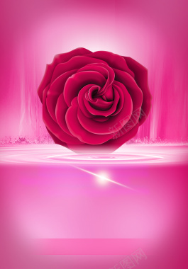 玫瑰美疗养生宣传海报背景背景