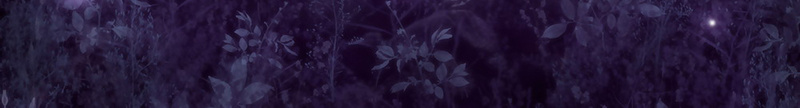 浪漫花园背景jpg设计背景_新图网 https://ixintu.com 商务 植物 浪漫 科幻 科技 紫色 花园
