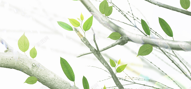 日系文艺清新淡色树枝绿叶背景背景